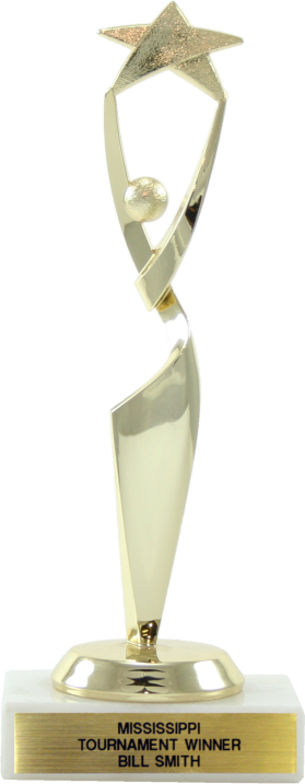 Star Achievement Trophy