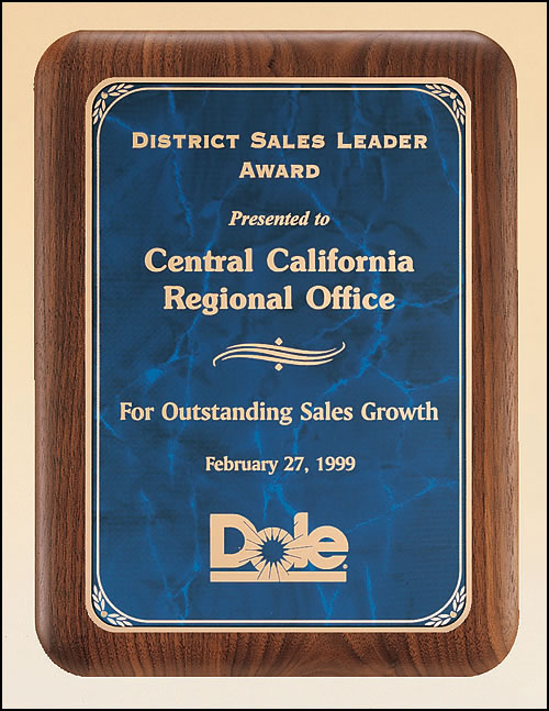 Sapphire Marble Rounded Plaque