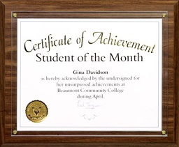 [PLP5300] Slide-in Certificate Plaque