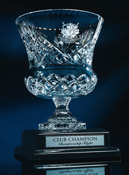 [LC-85BBR] Crystal Trophy Cup
