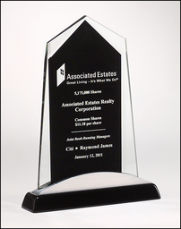 Black/Clear Apex Glass Award