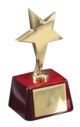 Gold Star with Rosewood Base 4" X 6"
