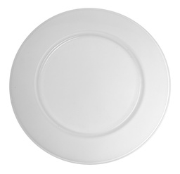 Opaque Glass Tray